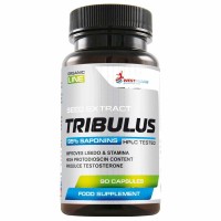 WestPharm Tribulus 500 мг 90 кап